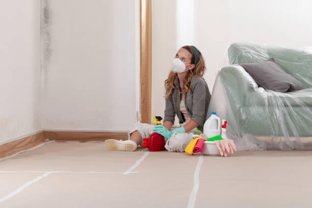 Trusted Black Mold Removal service in Kingston, WA - Cheap Mold Removal
