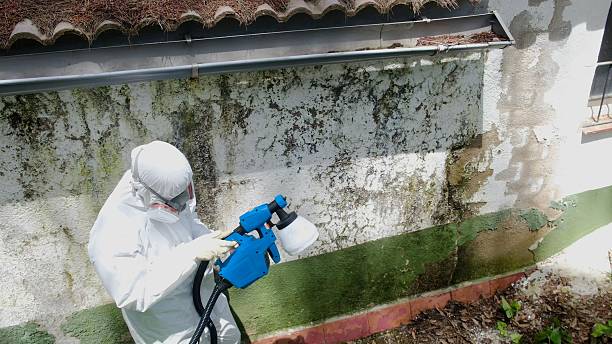 Trusted Commercial Mold Remediation service in Kingston, WA - Cheap Mold Removal